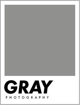Gray Visuals and Photography - Hi Dev Mobile